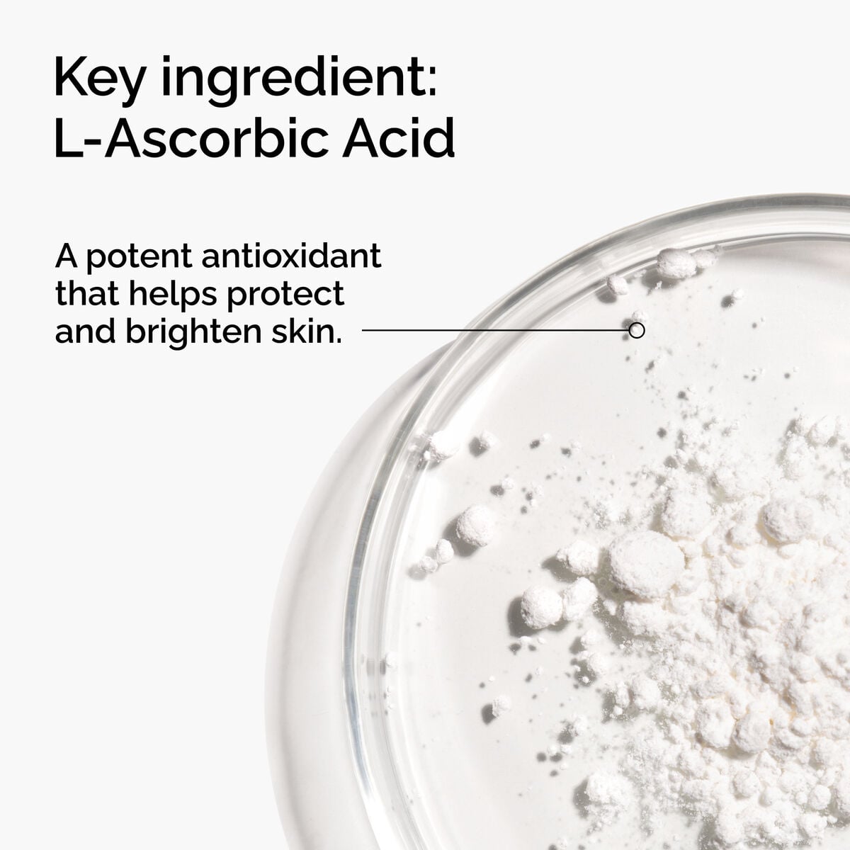 100-l-ascorbic-acid-powder-v2 FY25-D41247-ORD-Web-PDP-100-LAscb-Pwd-1x1-EN-2a.jpg